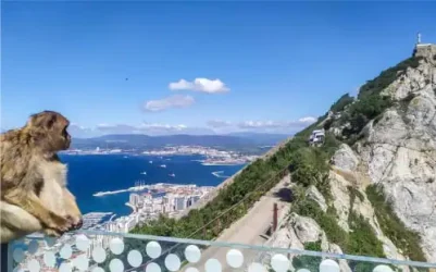 Transfer-gibraltar (1)